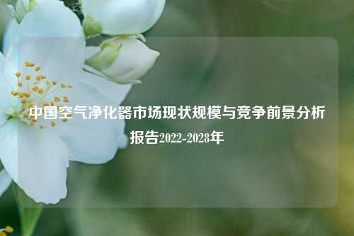中国空气净化器市场现状规模与竞争前景分析报告2022-2028年