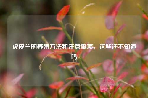 虎皮兰的养殖方法和注意事项，这些还不知道吗