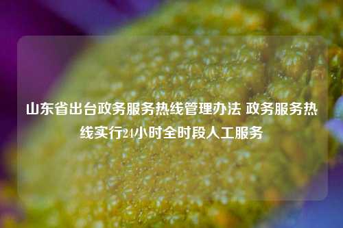 山东省出台政务服务热线管理办法 政务服务热线实行24小时全时段人工服务