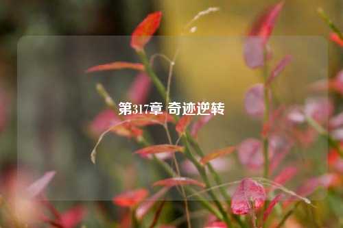 第317章 奇迹逆转