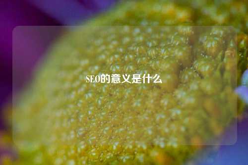 SEO的意义是什么