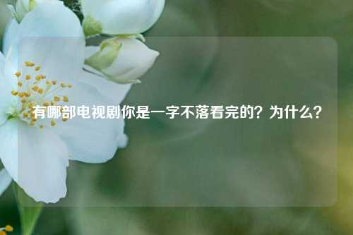 有哪部电视剧你是一字不落看完的？为什么？
