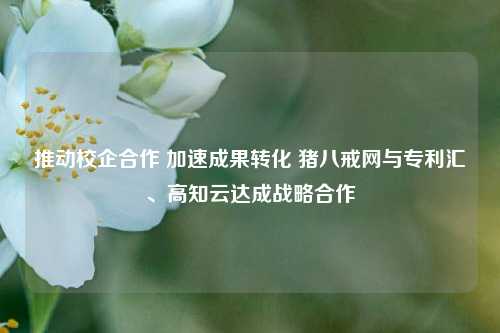 推动校企合作 加速成果转化 猪八戒网与专利汇、高知云达成战略合作
