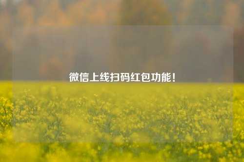 微信上线扫码红包功能！