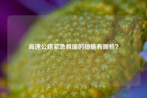 高速公路紧急救援的措施有哪些？