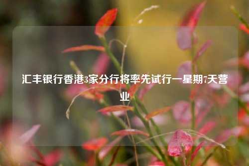 汇丰银行香港3家分行将率先试行一星期7天营业
