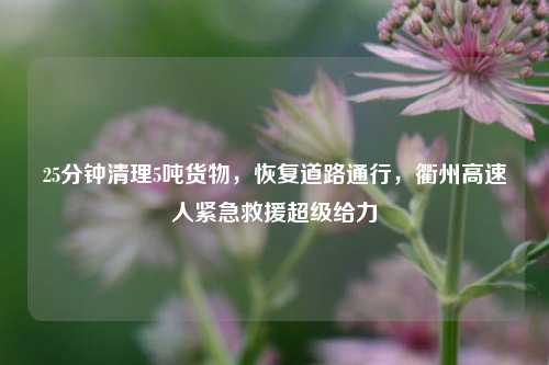 25分钟清理5吨货物，恢复道路通行，衢州高速人紧急救援超级给力