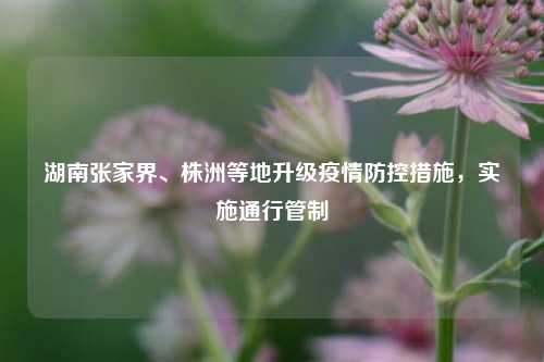 湖南张家界、株洲等地升级疫情防控措施，实施通行管制