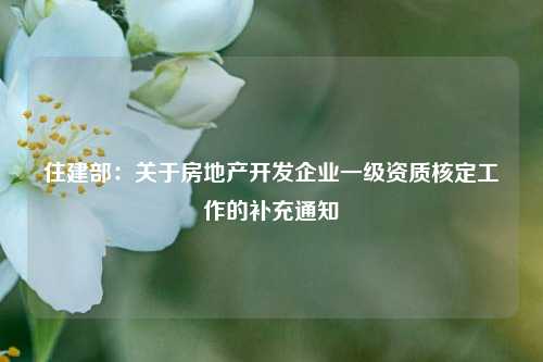 住建部：关于房地产开发企业一级资质核定工作的补充通知