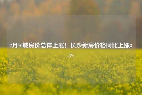 2月70城房价总体上涨！长沙新房价格同比上涨3.3%