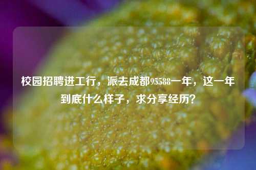 校园招聘进工行，派去成都95588一年，这一年到底什么样子，求分享经历？