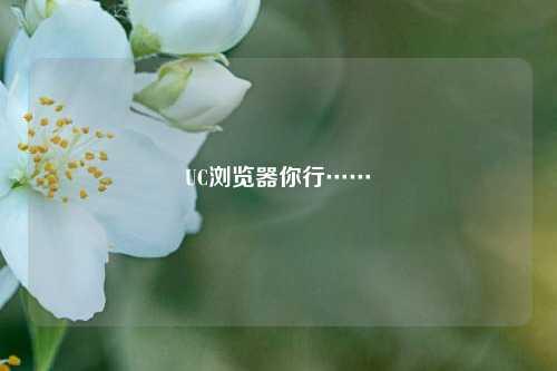 UC浏览器你行……