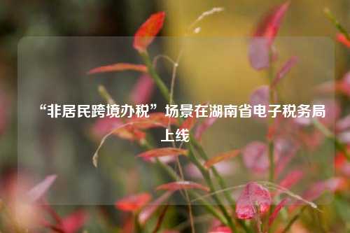 “非居民跨境办税”场景在湖南省电子税务局上线