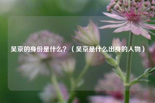 吴京的身份是什么？（吴京是什么出身的人物）
