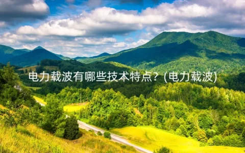 电力载波有哪些技术特点？(电力载波)