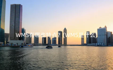 WMS有哪些特点？(WMS是什么)