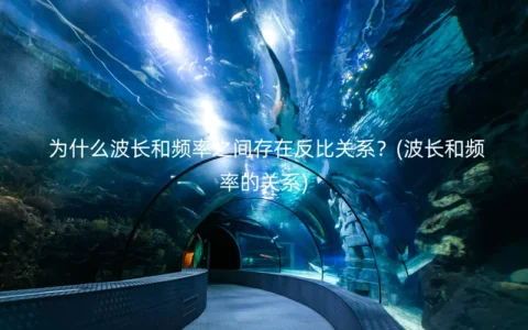 为什么波长和频率之间存在反比关系？(波长和频率的关系)