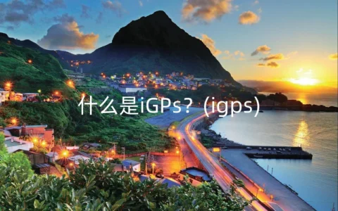 什么是iGPs？(igps)