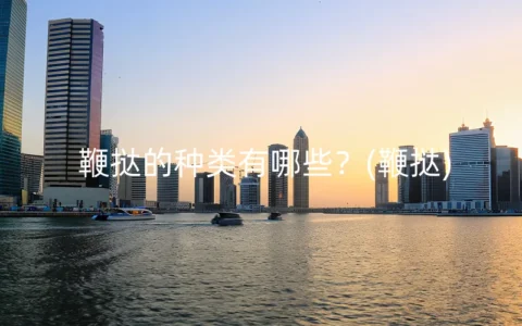 鞭挞的种类有哪些？(鞭挞)