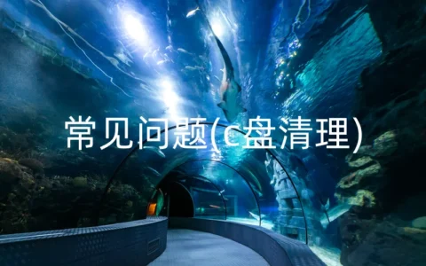 常见问题(c盘清理)