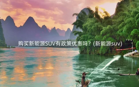 购买新能源SUV有政策优惠吗？(新能源suv)