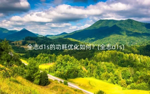 全志d1s的功耗优化如何？(全志d1s)