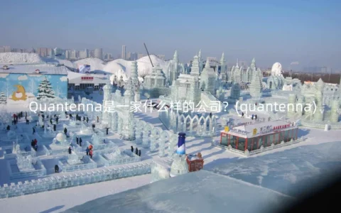 Quantenna是一家什么样的公司？(quantenna)