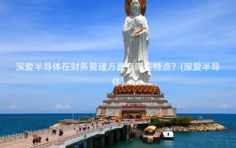 深爱半导体在财务管理方面有哪些特点？(深爱半导体)