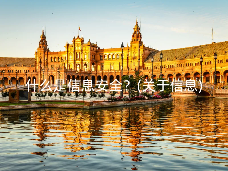 什么是信息安全？(关于信息)