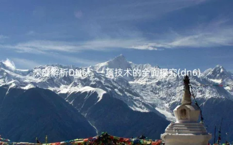 深度解析DN6：一项技术的全面探究(dn6)