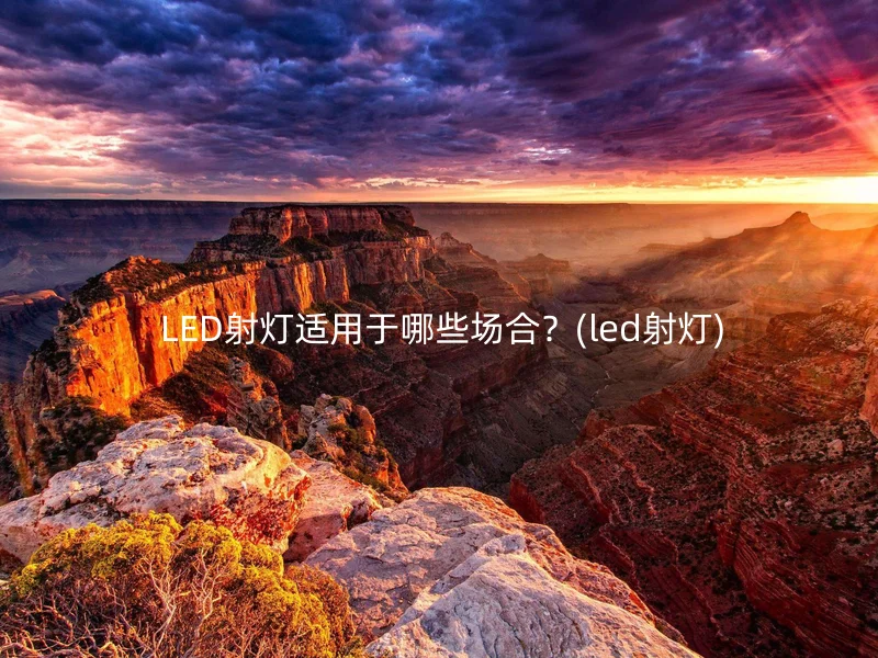  LED射灯适用于哪些场合？(led射灯)