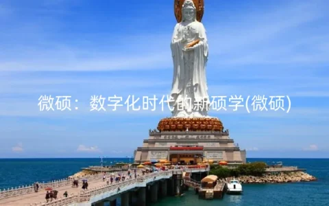 微硕：数字化时代的新硕学(微硕)