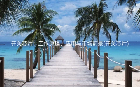 开关芯片：工作原理、应用与市场前景