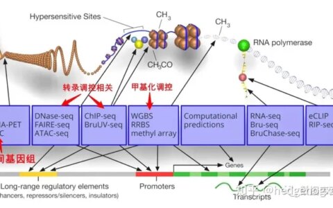 高通量测序技术极简介绍-高通量测序的用途