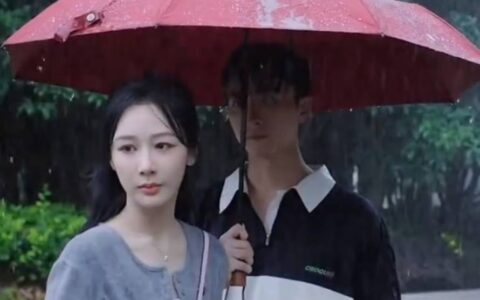 电视剧《承欢记》麦承欢忍无可忍，终于向辛家亮提出分手