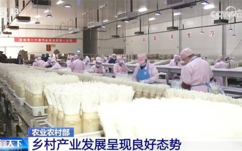 乡村产业发展“新新”向荣呈现良好态势 打造乡村振兴“新引擎”