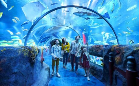 互动投影的技术基础以及原理介绍