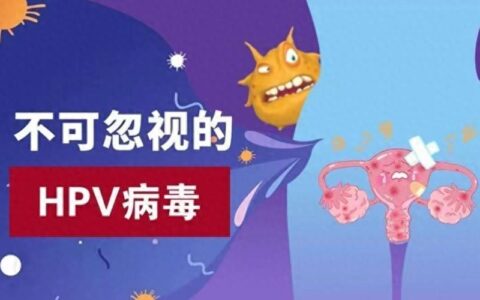 HPV感染与宫颈癌的关系揭秘：大多数感染者能自愈
