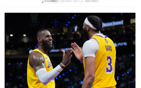 裁判报告出炉灰熊冤死！3次错判帮湖人，每次都离谱，太阳放弃吧