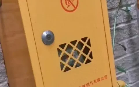 牛！外出2个月空转500方，知名编剧把重庆燃气表的”底裤”扒了！