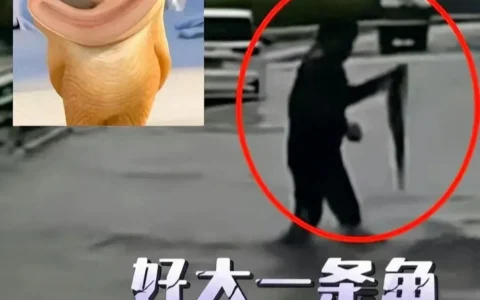 开心大笑！江西大暴雨后司机大马路上捡鱼，生活中的那些趣事儿