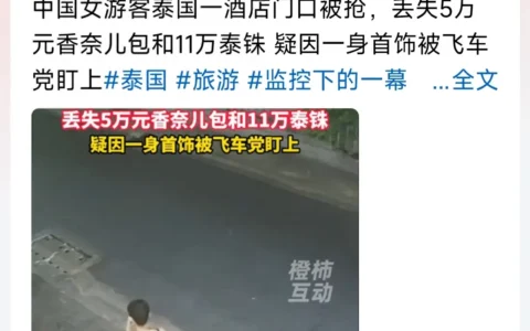 中国女人泰国被抢，丢失5万名牌包和11万泰铢，网友：穿那样活该