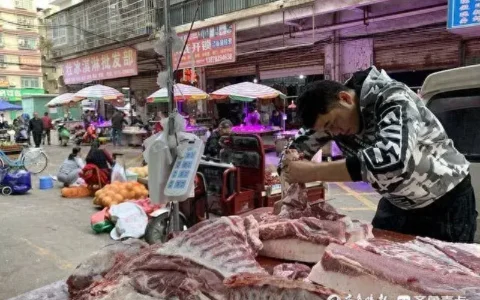 欠债40余万，猪肉商陷困境：法院调解出奇招，债主屠宰场上班偿债