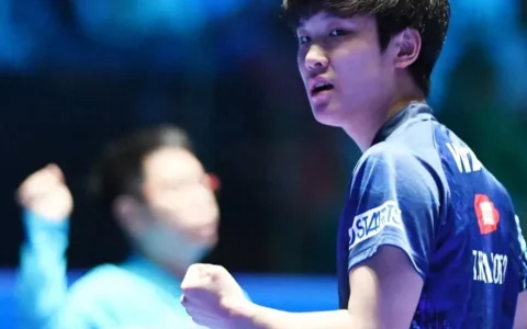 世界杯上半场战罢，陈梦横扫平野美宇！张本兄妹晋级四强！附赛程