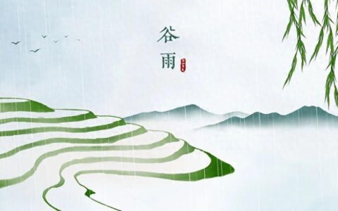 今日谷雨 | 雨生百谷，万物逢时