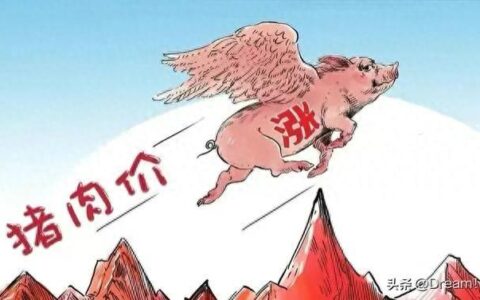 ‌‍​油价大变！⁠92号汽油惊现大降，货币走势引关注 = =====‌====