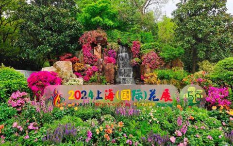 2000＋新奇特植物亮相，共赏沪上“繁花”，2024上海（国际）花展开幕