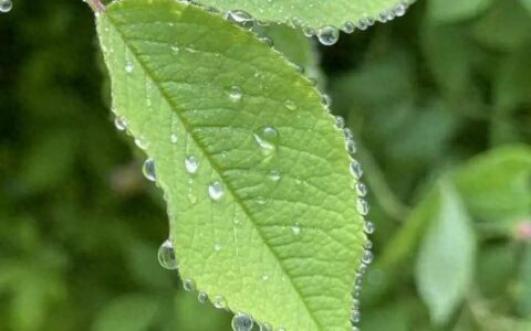 警惕，强对流又要来了！今晚周杰伦可能要在雨中开唱