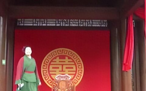 飘了？“开封王婆”抵达江西？出场费惊人！河南人再背“黑锅”？