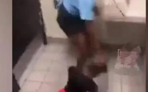 美国一坐轮椅的残疾女孩被霸凌多次勇敢不低头——应采取措施保护